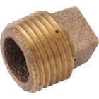 Anderson Metals 3/4 In. Red Brass Threaded Cored Pipe Plug Image 1
