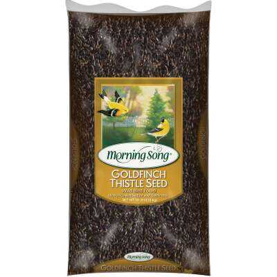 Morning Song 10 Lb. Nyjer Thistle Wild Bird Seed